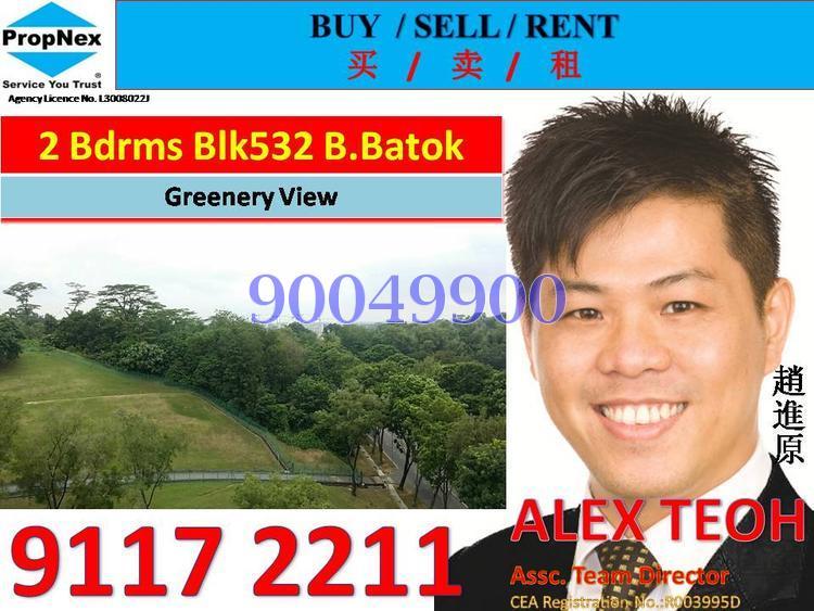 Blk 532 Bukit Batok Street 51 (Bukit Batok), HDB 4 Rooms #111090582